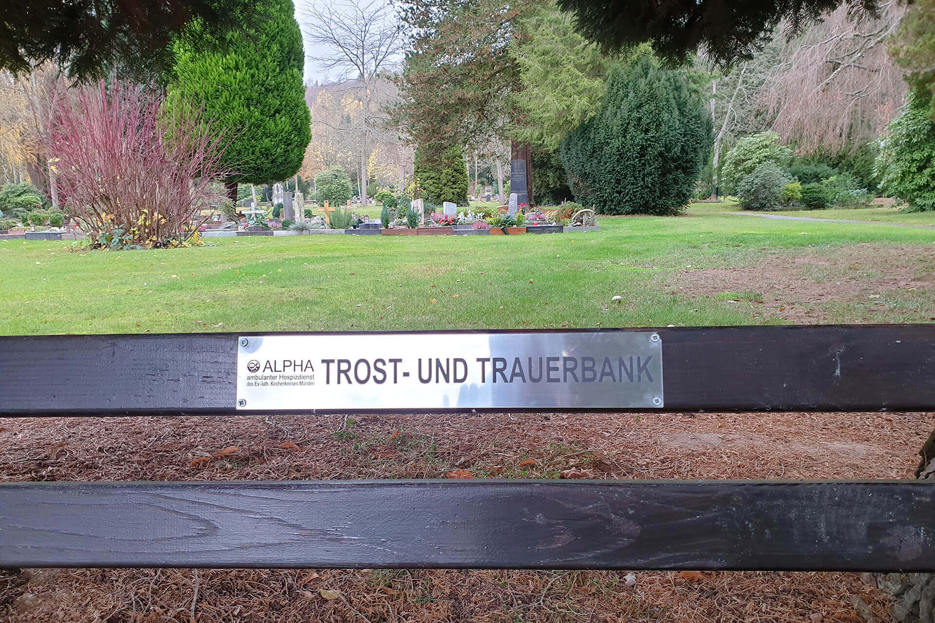 ALPHA_Trost-Trauerbank